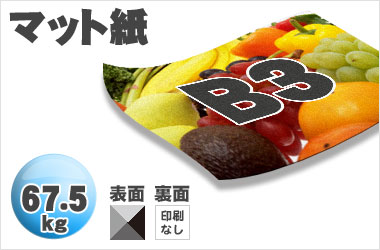 B3サイズ/マット67.5kg/片面一色