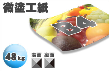 B4サイズ/微塗工48kg/両面一色