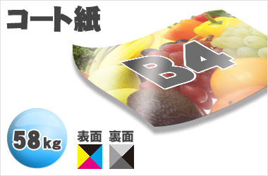 B4サイズ/コート58kg/フルカラー×一色