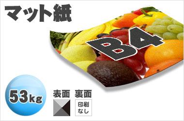 B4サイズ/マット53kg/片面一色
