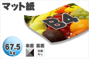 B4サイズ/マット67.5kg/片面一色