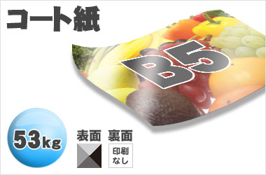 B5サイズ/コート53kg/片面一色