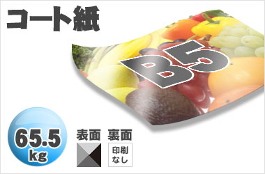 B5サイズ/コート65.5kg/片面一色