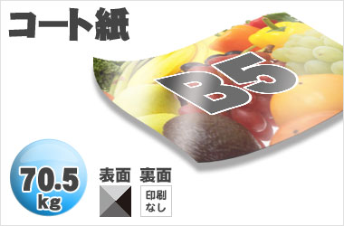 B5サイズ/コート70.5kg/片面一色