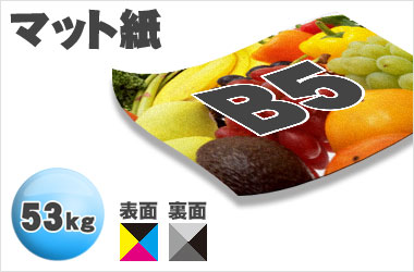 B5サイズ/マット53kg/フルカラー×一色