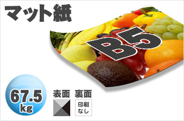 B5サイズ/マット67.5kg/片面一色