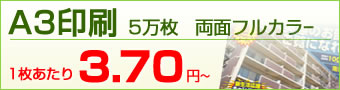 B3印刷 5万枚 両面フルカラー