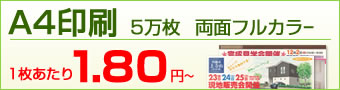 A3印刷 5万枚 両面フルカラー