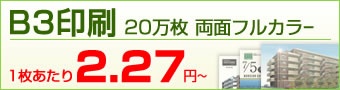 B3印刷 20万枚 両面フルカラー