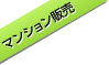 朝霞市新規分譲マンションギャラリーチラシ